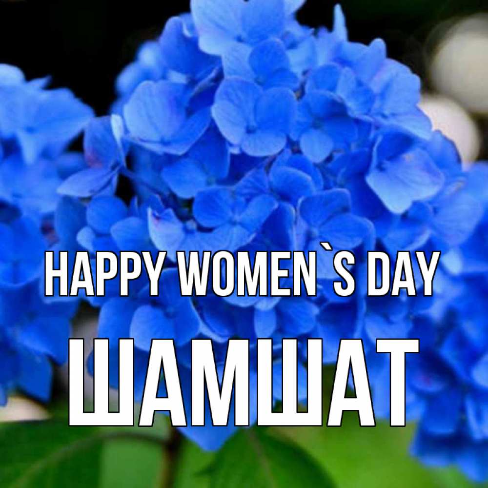Greetings card с именем, ШАМШАТ happy women`s day синие цветы Greetings with text for free download 